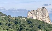 Randonnée Marche Saint-Rémy-de-Provence - Le plateau de Caume - Photo 1