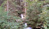 Tour Wandern Talloires-Montmin - Chalet de l'Aups depuis la Côte par Col de la Forclaz - Photo 1