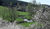 Tour Wandern Léglise - Volaiville - Winville - Photo 8