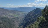 Trail Walking Annot - Croix de Braux Col de Pelloussis - Photo 1