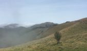 Trail Walking Lecumberry - IRATY  PETRILARRE-HEGIXURIA en boucle - Photo 3