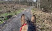 Trail Horseback riding Saint-Martin - Mardi 20 février 24 Tivio  - Photo 1