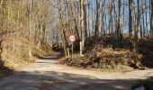 Excursión Bici eléctrica Ronse - Renaix - Louise Marie (chemins boisés) - Photo 10