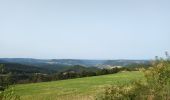 Tocht Stappen Chadenet - La Loubière - Lanuéjols  - Photo 7