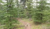 Tocht Stappen Villeneuve-de-Berg - la forêt des sens Villeneuve de Berg  - Photo 9
