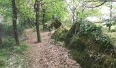 Tour Wandern La Chapelle-Bouëxic - 07052021 la Chapelle bouexic - Photo 12