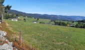 Tour Wandern Urbeis - Col du Wettstein - Hautes-Huttes - Lac du Forlet - Lac Vert - Photo 18