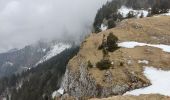 Randonnée Raquettes à neige Autrans-Méaudre en Vercors - Pas de la clé - Photo 5