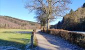 Trail Walking Stoumont - Promenade au départ de Moulin du Ruy  - Photo 5