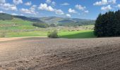 Randonnée Marche Saint-Romain-d'Urfé - Le Gaud - La Ménardie - Photo 2