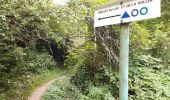 Trail Walking Guewenheim - Circuit de la Doller  - Photo 2