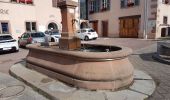 Tour Wandern Günsbach - Gunsbach - Munster - Photo 1