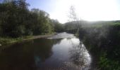 Randonnée V.T.T. Viroinval - VTT sur la vallée des eaux vives (Nismes) - Photo 10