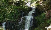 Randonnée Marche Wildersbach - Wildersbach - col de la Perheux - cascade de la Serva - Champ du Feu - Photo 7
