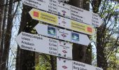 Trail On foot Seelbach - Geroldsecker Qualitätsweg - Photo 3