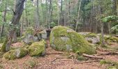 Excursión Senderismo Dambach-la-Ville - Les rochers du Dachfirst - Photo 17