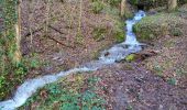 Trail Walking Wellin - Daverdisse 040124 - Photo 12
