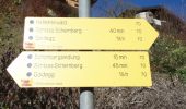 Trail On foot Goldegg - Goldegg-Schwarzach über Buchenkopf - Photo 10