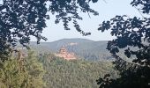 Trail Walking Bundenthal - baerensteig bruchweiler baerenbach - Photo 18