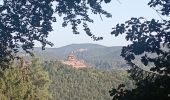 Tocht Stappen Bundenthal - baerensteig bruchweiler baerenbach - Photo 18