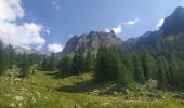 Trail Walking Saint-Martin-Vésubie - boucle refuge de Cougourde/lac de Ttecolpas/ Pas des Ladres - Photo 6