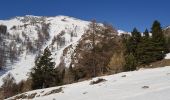 Trail Snowshoes Entraunes - ancien col de la Cayolle - Photo 9