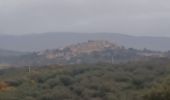 Tocht Stappen Château-Arnoux-Saint-Auban - SAINT AUBAN . SENTIER DE DÉCOUVERTE DE L AÉRODROME  O L  - Photo 8