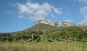 Tocht Stappen Saou - 2024-10-27_08h45m28_Roche_Colombe_au_Pays_de_la_Foret_de_Saou - Photo 1