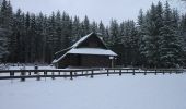 Trail On foot Skořice - [M] Hořejší Padrťský rybník - Pod Hubertkou - Photo 9