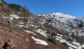 Randonnée Raquettes à neige La Croix-sur-Roudoule - Haute Mihubi  - Photo 3