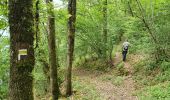Trail Walking Monestier-Port-Dieu - E2 Monestier- chêne de Sully - Photo 4