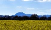 Trail Walking Les Martres-de-Veyre - Corent_Plateau - Photo 1