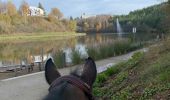 Trail Horseback riding Neufchâteau - Quadrillage du bois d’Ospau - Photo 7