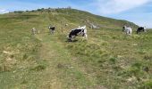 Trail Walking La Bresse - Le Hohneck et ses lacs d'altitude - Photo 1