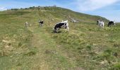 Randonnée Marche La Bresse - Le Hohneck et ses lacs d'altitude - Photo 1