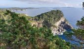 Tocht Stappen Hyères - Giens boucle ouest - Photo 6