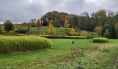 Excursión Marcha nórdica Chaumont-Gistoux - dion bonne Longueville  - Photo 3