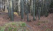 Tocht Te voet Bad Tabarz - Tabarz - Tanzbuche (Grüner Balken) - Photo 10