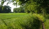 Randonnée A pied Eckernförde - Route um das Windebyer Noor und Kochendorf - Photo 10