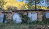 Trail Walking Cuers - Du col de la bigue vers le bas des barres de Cuers - Photo 8