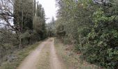 Percorso Marcia Villasavary - Besplas  - Photo 4