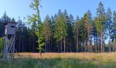 Trail Walking Spa - berinzenne fleurie - Photo 16
