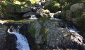 Randonnée Marche Saint-Martin-Vésubie - Le Boréon-La Madone de Fenestre - Photo 5