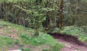 Tocht  Gérardmer - Bourrique, tour et cascade de Merelle - Photo 19