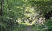 Trail Walking Gedinne - Vencimont2 - Photo 3