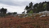 Trail Walking Fontainebleau - ddd - Photo 1