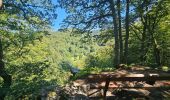 Tour Wandern Bouillon - Le Sentier des Points de Vues - Bouillon - Photo 3