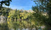 Tour Wandern Saint-Martin-d'Ardèche - Saint Martin d’Ardéche - Photo 6