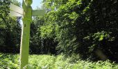 Trail Walking Morienval - en forêt de Compiègne_37_les Tournantes des Petits Monts (sur et sous) - Photo 14