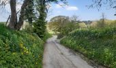 Tocht Stappen Sprimont - les forges . fraipont . andoumont . les forges - Photo 17